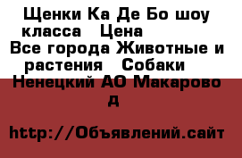 Щенки Ка Де Бо шоу класса › Цена ­ 60 000 - Все города Животные и растения » Собаки   . Ненецкий АО,Макарово д.